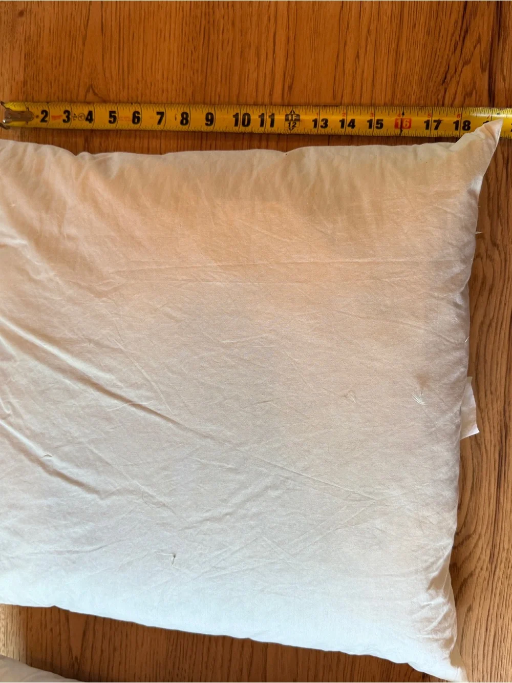 18x18 Set Of 2 100% Feather Throw Pillow Inserts